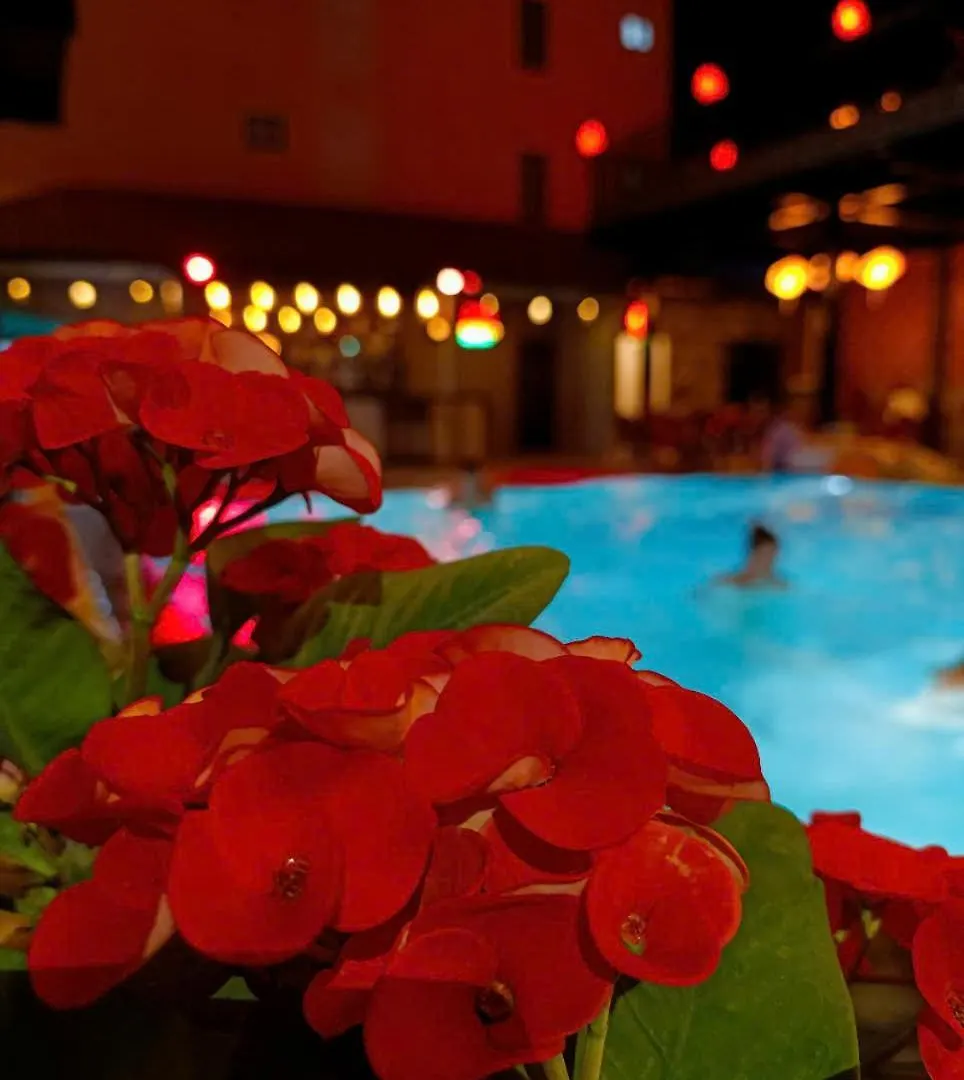 Riverside Hoi An, Dolphins Hostel